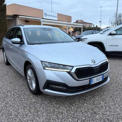 Skoda Octavia Wagon 2.0 Tdi 115 CV evo Executive Dsg