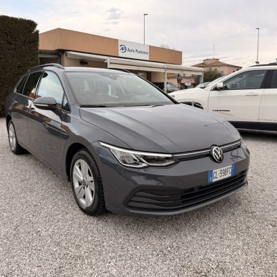 Volkswagen Golf Variant 2.0 tdi 116 cv Life Dsg