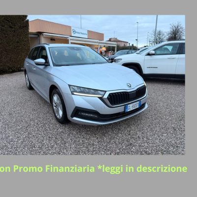 Skoda Octavia Wagon 2.0 Tdi 115 CV evo Executive Dsg