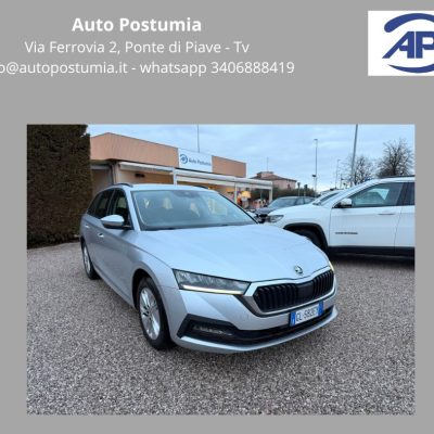 Skoda Octavia Wagon 2.0 Tdi 115 CV evo Executive Dsg