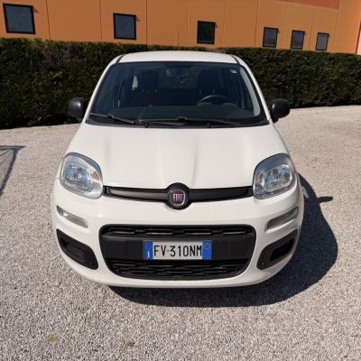 Fiat Panda 1.2 Easy Guidabile Neo Patentati